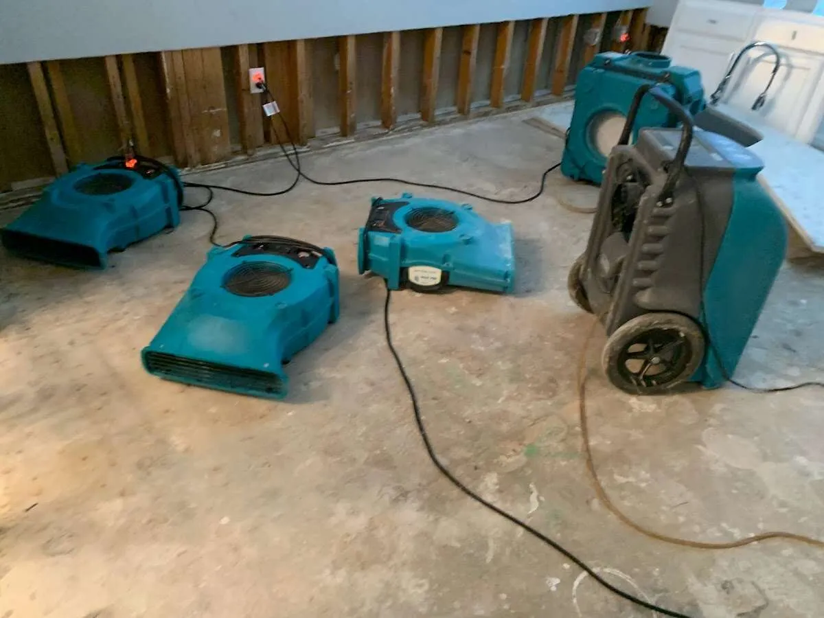 Water Damage Assessment in Perry, IA